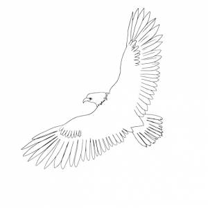 Штриховой рисунок орла, эскиз дикой природы, минималистский контурный рисунок, птица-ястреб, векторный файл, животное