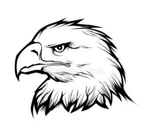 DataLife Engine > Версия для печати > Орел контурный рисунок