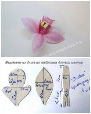 Выкройка орхидеи из фоамирана