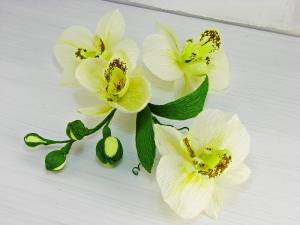 Мастер класс ОРХИДЕЯ из гофрированной бумаги