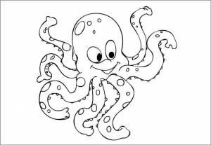 Шаблон осьминога