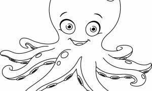 DataLife Engine > Версия для печати > Трафарет осьминога