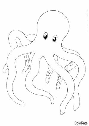 Раскраска Огромный осьминог