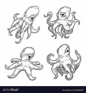 Мультяшный осьминог