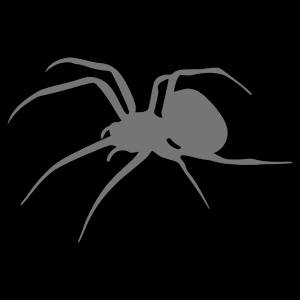 Трафарет Паук
