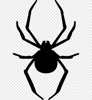 Трафарет Spider Art, паук, cdr, текст png