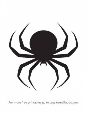 Трафареты паука ,  шаблоны