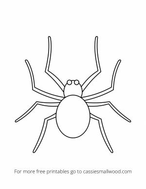 Трафареты паука ,  шаблоны