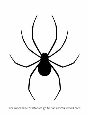 Трафареты паука ,  шаблоны