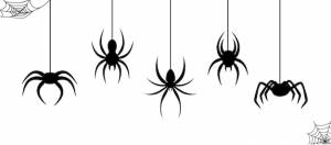 Черные пауки висят на паутине