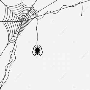 рисунок шаблон оформления паутины PNG , рисунок паука, рисунок крысы, рисунок паутины PNG картинки и пнг рисунок для й загрузки