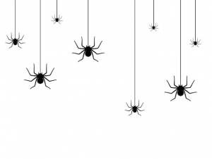Набор с силуэтом паука