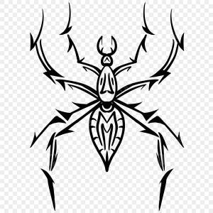 рисунок тату паук мультяшная иллюстрация тату PNG , рисунок автомобиля, рисунок паука, мультфильм рисунок PNG картинки и пнг PSD рисунок для й загрузки