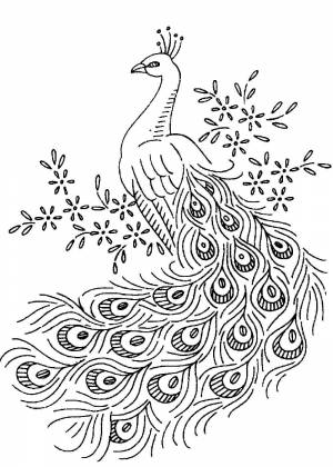 Трафарет павлина