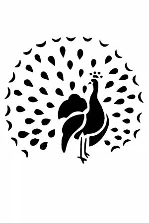 Павлин трафарет