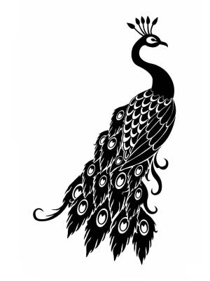 Трафареты Павлина