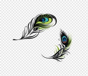 черный, зеленый и коричневый цветочный, перо птицы, павлин, евклид, перо павлина, животные, цвет, перья png