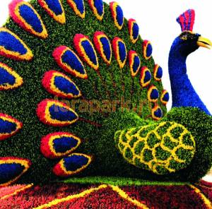 ПАВЛИНЫ, топиарные фигуры, скульптуры, цветочные конструкции от производителя городской уличной мебели