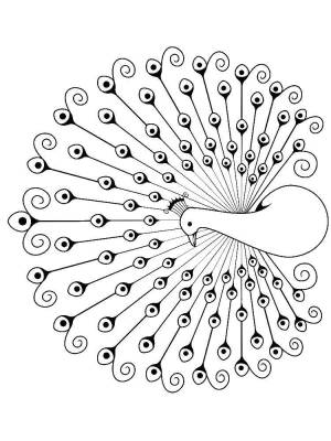 Раскраски Раскраска Хвост павлина павлин