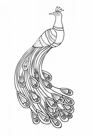 Как сделать павлина из цветной бумаги своими руками