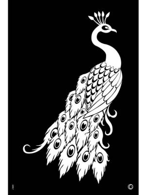 Трафареты Павлина