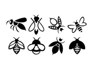 Трафареты Пчелы