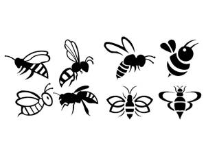 Трафареты Пчелы