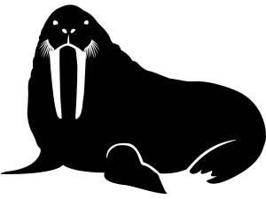 Трафареты Моржа