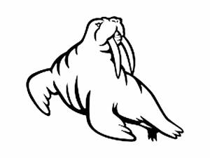 Трафареты Моржа