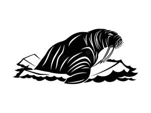 Трафареты Моржа