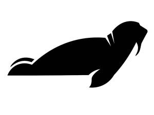 Трафареты Моржа