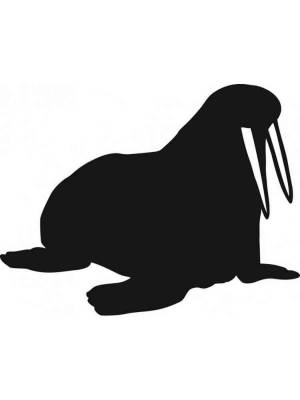 Трафареты Моржа