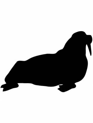 Трафареты Моржа