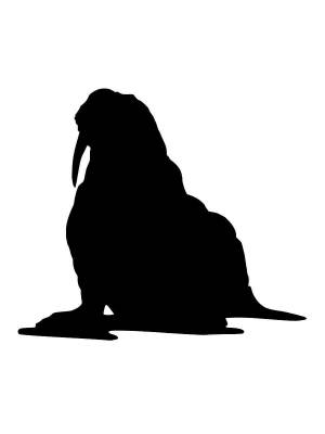 Трафареты Моржа