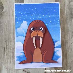 Северные животные