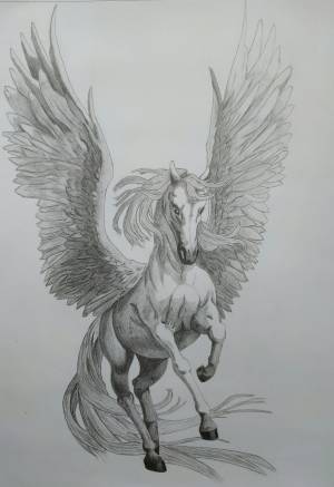 Пегас рисунок