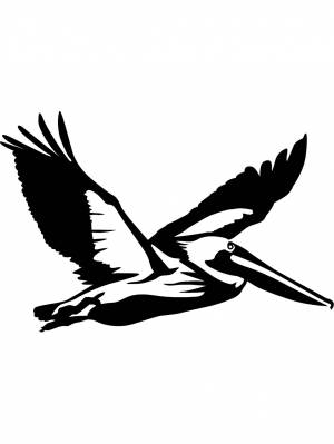 Трафареты Пеликана