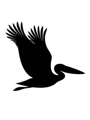 Трафареты Пеликана