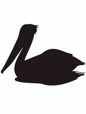 Трафареты Пеликана