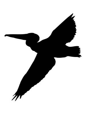 Трафареты Пеликана