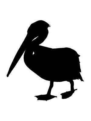 Трафареты Пеликана