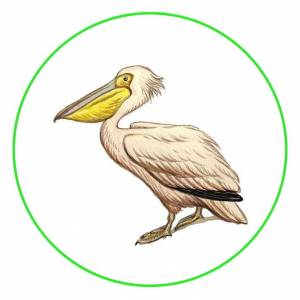 Шаблоны для вышивки on Instagram