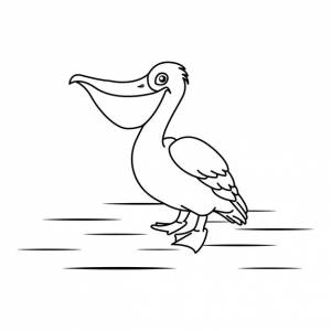Шаблон векторной иллюстрации pelican bird для многих целей урок рисования для детей