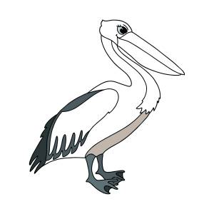 Пеликан легкий рисунок