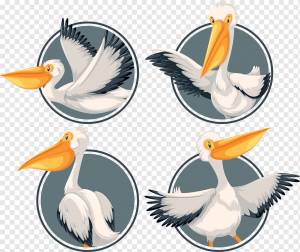 Пеликан на шаблоне наклейки, png