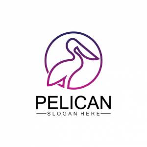 Шаблон векторной иллюстрации логотипа пеликана птицы линии искусства пеликана птицы