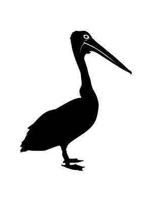 Трафареты Пеликана