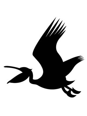 Трафареты Пеликана