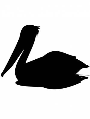 Трафареты Пеликана