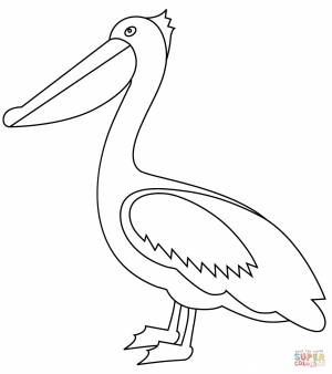 Раскраска Пеликан
